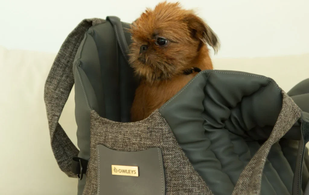 Stylish Dog Car Seat Bag