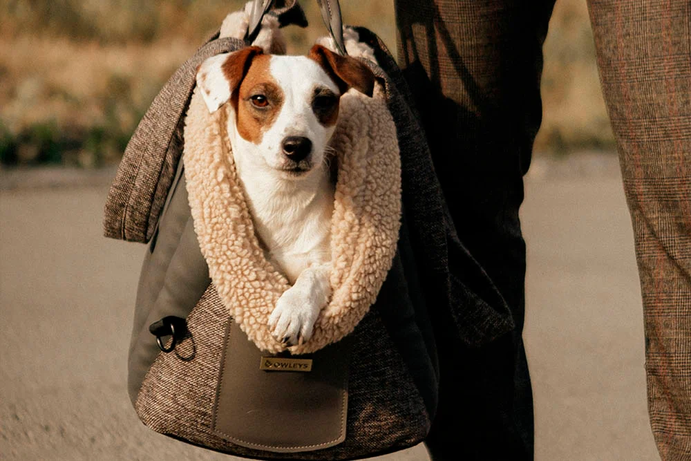 Dog Purse Carrier for Travel