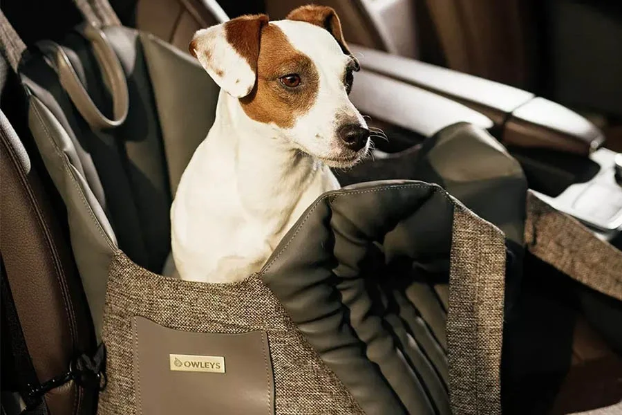 Dog Purse Carrier for Travel