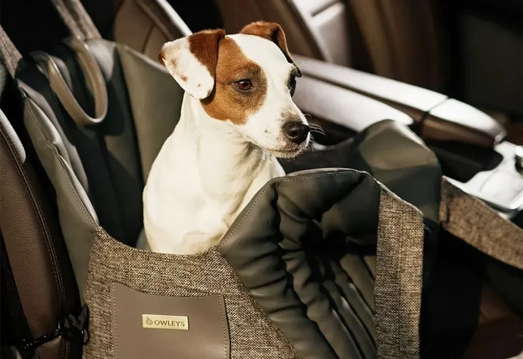 Designer Pet Car Seat Carrier